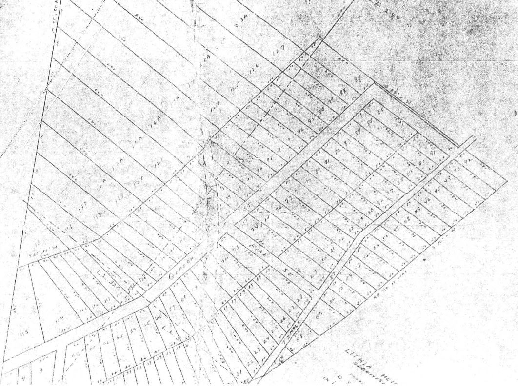 Lithia Heights Subdivision phase 1